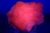 Superb Manganoan Calcite Crystal Cluster - Highly Fluorescent! #347654-1